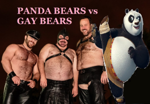 gay bears free